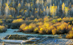 東北五常黑土遭承包者盜挖超9萬平方